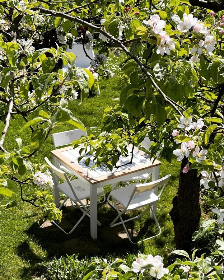Przechowalnia Marzen- Adults Only Mikołajki Eksteriør bilde