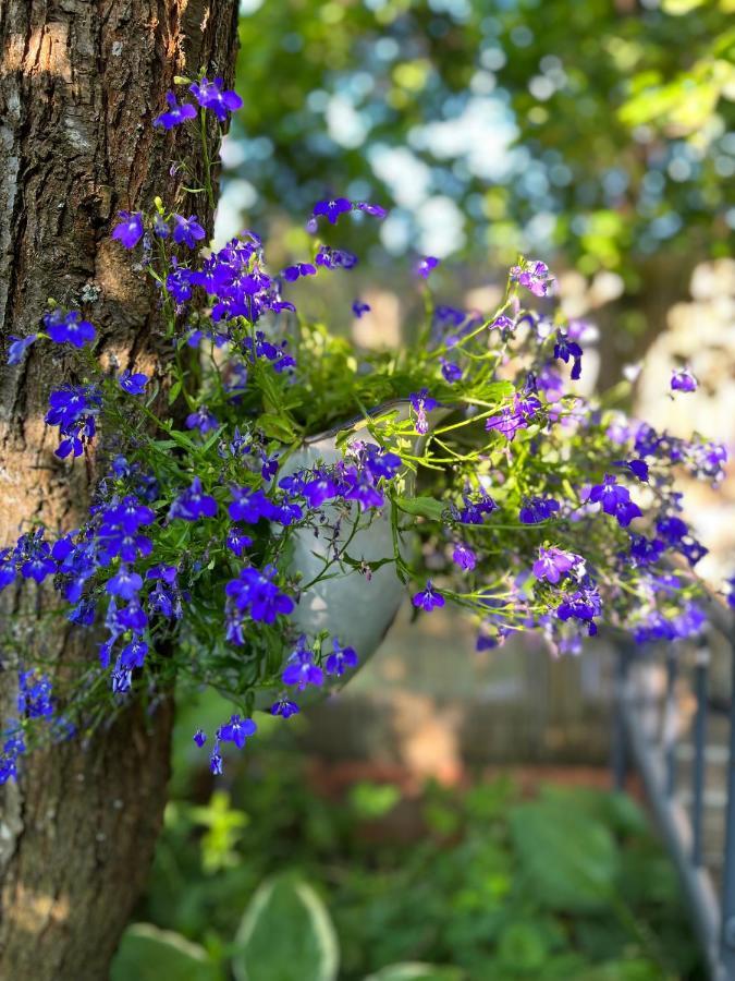 Przechowalnia Marzen- Adults Only Mikołajki Eksteriør bilde